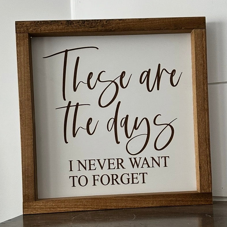 These Are The Days Farmhouse Signs 12"x12"