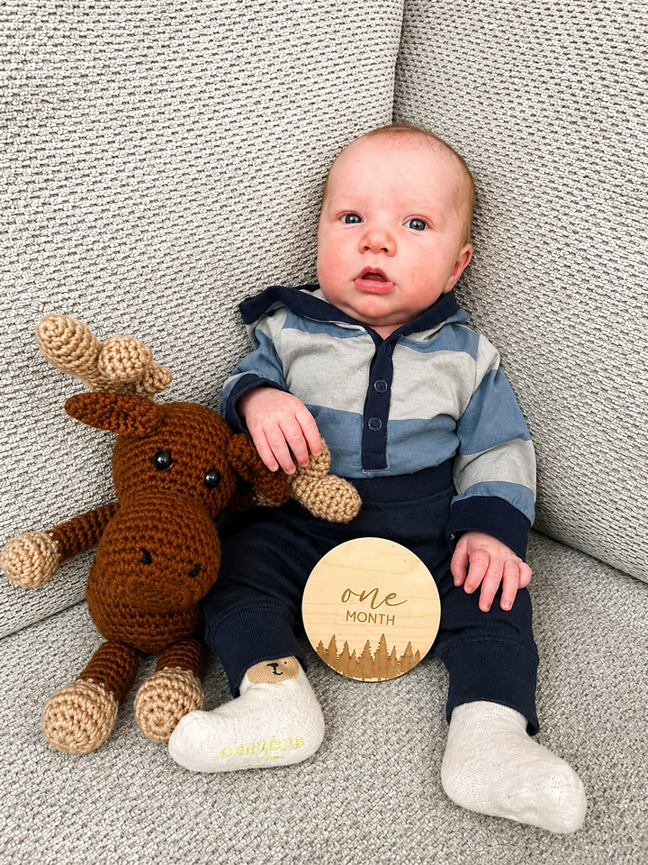 Natural wood grain baby monthly milestones photo markers set mountains