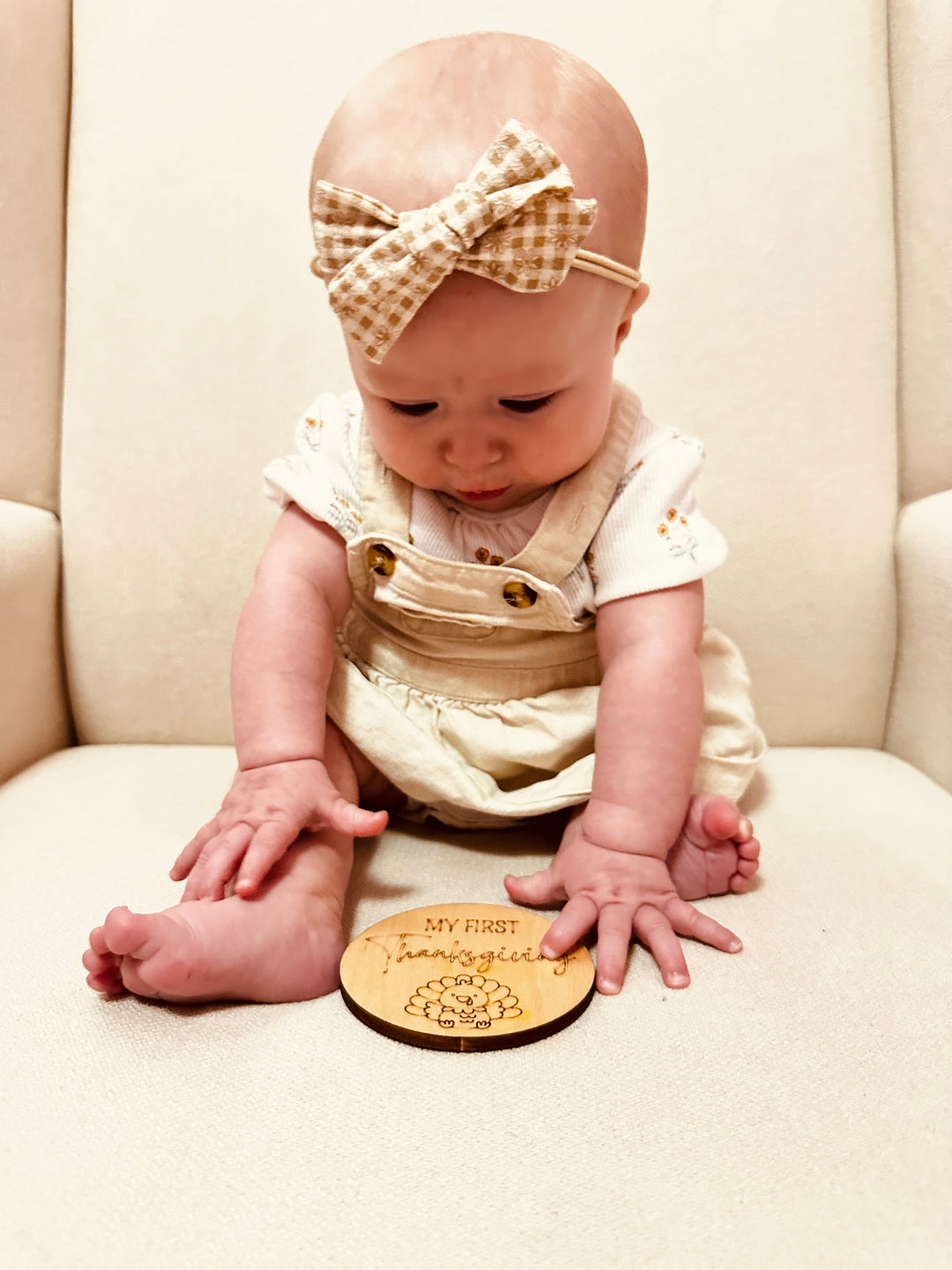Baby’s First Holiday Milestone Discs