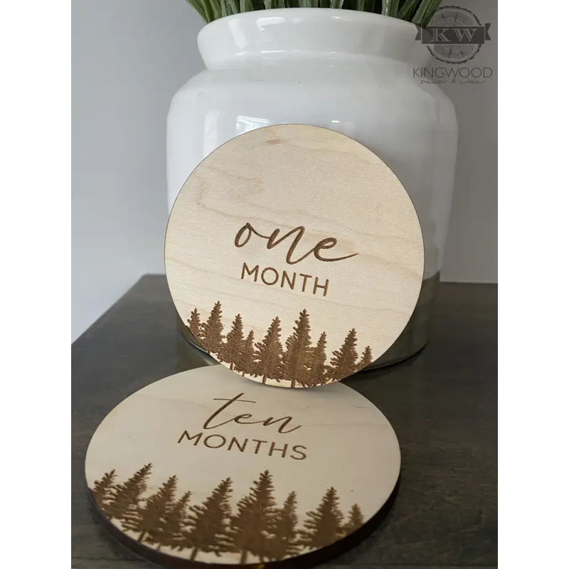 Baby’s monthly milestones set with trees (12 pieces) 3d
